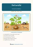 Vorschau - Arbeitsblätter - Die Kartoffel – Lesespurgeschichte mit Rätselaufgaben (Klasse 5) - Seite 1