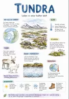 Vorschau - Arbeitsblätter - Lernposter + Arbeitsblätter zum Thema "Tundra" + Lösung & MP3 + Mindmap + Infografik - Deckblatt