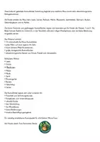 Vorschau - Mal- und Bastelvorlagen - Maus 10 Ausmalbilder und Malvorlagen - Seite 1