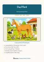 Vorschau - Mal- und Bastelvorlagen - Das Pferd – Lesespurgeschichte mit Rätselaufgaben (Klasse 5) - Seite 1