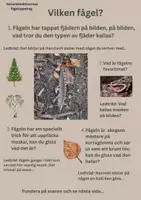 förhandsvisning - Naturdetektivernas fågeluppdrag: Morkullan & Spillkråkan (F-3) - sida 3