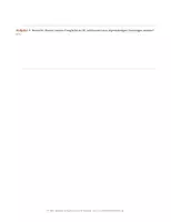 Vorschau - Unterrichtsreihen - Neue Klangvorstellungen – Klangflächen, Cluster und Mikropolyphonie | Unterrichtsreihe Musik Sek II - Seite 3