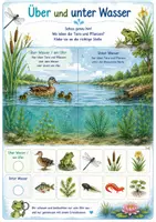 Vorschau - Arbeitsblätter - Forscherpaket Gewässer - Natur entdecken | Kita - Seite 3