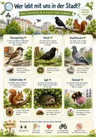 Vorschau - Arbeitsblätter - Forscherpaket Stadt - Natur entdecken | Kita - Seite 3