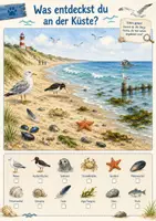 Vorschau - Arbeitsblätter - Forscherpaket Strand & Meer | Kita - Seite 2
