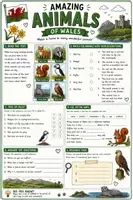Vorschau - Arbeitsblätter - Wales Booklet - Seite 3