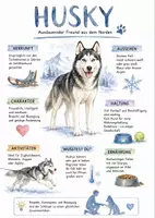 Vorschau - Arbeitsblätter - Lernposter + Arbeitsblatt "Husky" + Onlineübung & MP3 + Mindmap + Infografik - Deckblatt