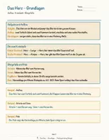 Vorschau - Arbeitsblätter - Das Herz – Prüfungstraining Biologie (Klasse 8) - Seite 3
