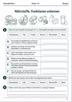 Vorschau - Arbeitsblätter - Basisscreening Biologie Ernährung & Verdauung Klasse 7–8 - Seite 2