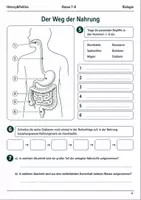 Vorschau - Arbeitsblätter - Basisscreening Biologie Ernährung & Verdauung Klasse 7–8 - Seite 3