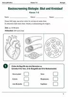 Vorschau - Arbeitsblätter - Basisscreening Biologie Blut & Kreislauf Klasse 7–8 - Deckblatt