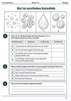 Vorschau - Arbeitsblätter - Basisscreening Biologie Blut & Kreislauf Klasse 7–8 - Seite 2