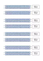 Vorschau - Arbeitsblätter - Materialpaket: Anwendungsbeispiele für Genmutationen (Punktmutation Genetik) - Seite 2