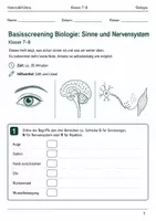 Vorschau - Arbeitsblätter - Basisscreening Sinne & Nervensystem Klasse 7–8 - Deckblatt