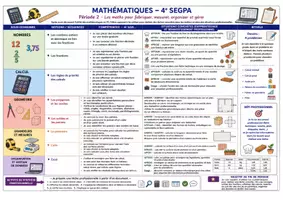 Aperçu - Préparation de séquence / Séquence complète - Programmation annuelle MATHS 4° - Page 2