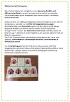 Vorschau - Fördermaterial/Inklusion - Zahlen bis 10 – Flexible Legekarten mit Muggelsteinen | Mengen, Zahlverständnis & Zahlzerlegung | 1. Klasse - Seite 2
