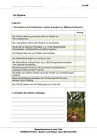 Vorschau - Arbeitsblätter - Palmöl - Arbeitsblätter mit lösungen - Seite 1