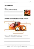 Vorschau - Arbeitsblätter - Palmöl - Arbeitsblätter mit lösungen - Seite 3