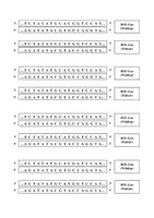 Vorschau - Arbeitsblätter - Anwendungsbeispiel & Übung: Genmutation Hämochromatose (Punktmutation Genetik) - Seite 2