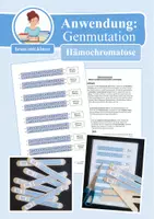 Vorschau - Arbeitsblätter - Anwendungsbeispiel & Übung: Genmutation Hämochromatose (Punktmutation Genetik) - Deckblatt