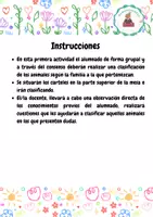 Vista previa - Tarjetas / Manipulativos - Familias de animales - página 1