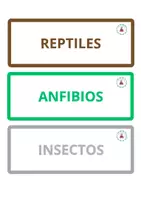 Vista previa - Tarjetas / Manipulativos - Familias de animales - página 3