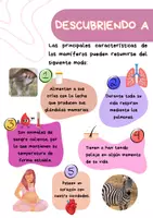 Vista previa - Fichas informativas / Documentos de lectura - Paquete de materiales Revistas familias de animales (mamíferos, peces, aves, reptiles, anfibios e insectos) - página 3