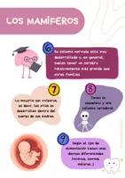 Vista previa - Fichas informativas / Documentos de lectura - Revista 'Los Mamíferos' - página 3