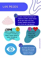 Vista previa - Fichas informativas / Documentos de lectura - Revista 'Los peces' - página 3