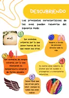 Vista previa - Fichas informativas / Documentos de lectura - Revista educativa 'Las aves' - página 2