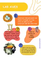 Vista previa - Fichas informativas / Documentos de lectura - Revista educativa 'Las aves' - página 3
