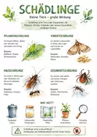 Vorschau - Arbeitsblätter - Lernplakat + AB mit Fragen zum Thema "Schädlinge" + Lösungsblatt + Infografik - Deckblatt