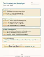 Vorschau - Arbeitsblätter - Das Hormonsystem – Prüfungstraining Biologie (Klasse 9) - Seite 3