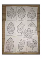 Vorschau - Mal- und Bastelvorlagen - Kunstideen Herbst Kunst Herbst - Seite 3