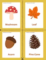 Προεπισκόπηση - Flashcards - Autumn Vocabulary Flashcards | Preschool & Kindergarten - Σελίδα 2