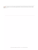 Vorschau - Unterrichtsreihen - Wiener Klassik – Die Sinfonie und der Sonatenhauptsatz | Unterrichtsreihe Musik Sek II - Seite 3