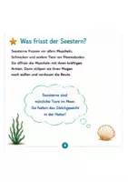 Vorschau - Stundenentwürfe - Deutsch Sachunterricht Lesestraining Klasse 3 Klasse 4 : Der Seestern - Seite 3