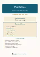 Vorschau - Arbeitsblätter - Die Zellatmung – Prüfungstraining Biologie (Klasse 9) - Seite 1