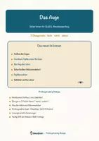 Vorschau - Arbeitsblätter - Das Auge – Prüfungstraining Biologie (Klasse 8) - Seite 1