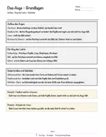 Vorschau - Arbeitsblätter - Das Auge – Prüfungstraining Biologie (Klasse 8) - Seite 3