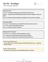 Vorschau - Arbeitsblätter - Das Ohr – Prüfungstraining Biologie (Klasse 8) - Seite 3