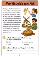 Vorschau - Stundenentwürfe - Getreide 3 Klasse Sachunterricht – Brot Materialpaket Arbeitsblätter - Seite 2
