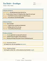 Vorschau - Arbeitsblätter - Das Skelett – Prüfungstraining Biologie (Klasse 8) - Seite 3
