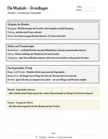 Vorschau - Arbeitsblätter - Die Muskeln – Prüfungstraining Biologie (Klasse 8) - Seite 3