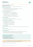 Vorschau - Arbeitsblätter - Ordnung in der Zeit Arbeitsblätter - Seite 2