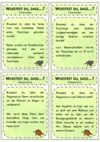 Vorschau - Spiele - Wusstest du, dass... Dinosaurier - Seite 3