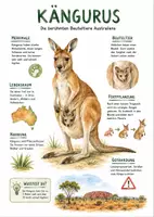 Vorschau - Arbeitsblätter - Lernplakat + Arbeitsblätter zum Thema "Känguru" + Lösung & MP3 + Mindmap + Infografik - Deckblatt