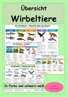 Vorschau - Arbeitsblätter - Wirbeltiere - Übersicht über die Wirbeltierklassen - Deckblatt