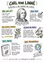 Vorschau - Arbeitsblätter - Lernplakat + AB mit Fragen zum Thema "Carl von Linné" + Lösungsblatt + Infografik - Deckblatt