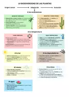Vista previa - Hojas de trabajo - Biodiversidad de las plantas - Portada